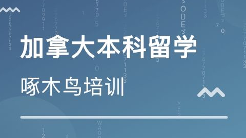 度娘流出信息流广告创意秘籍，速看-赵阳SEM博客-图片2