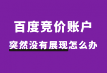 百度竞价账户突然没有展现怎么办？3方面，提升竞价账户展现！-赵阳SEM博客