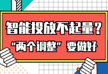 智能投放不起量？一定是投放前没做好这两个调整！-赵阳SEM博客